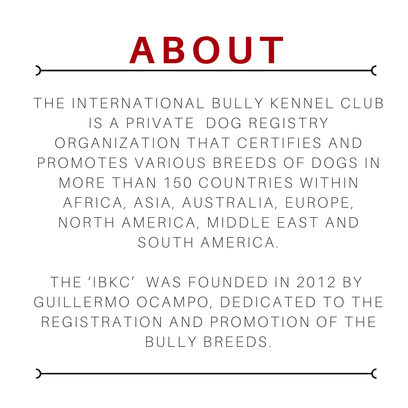 Ibkc register deals dog